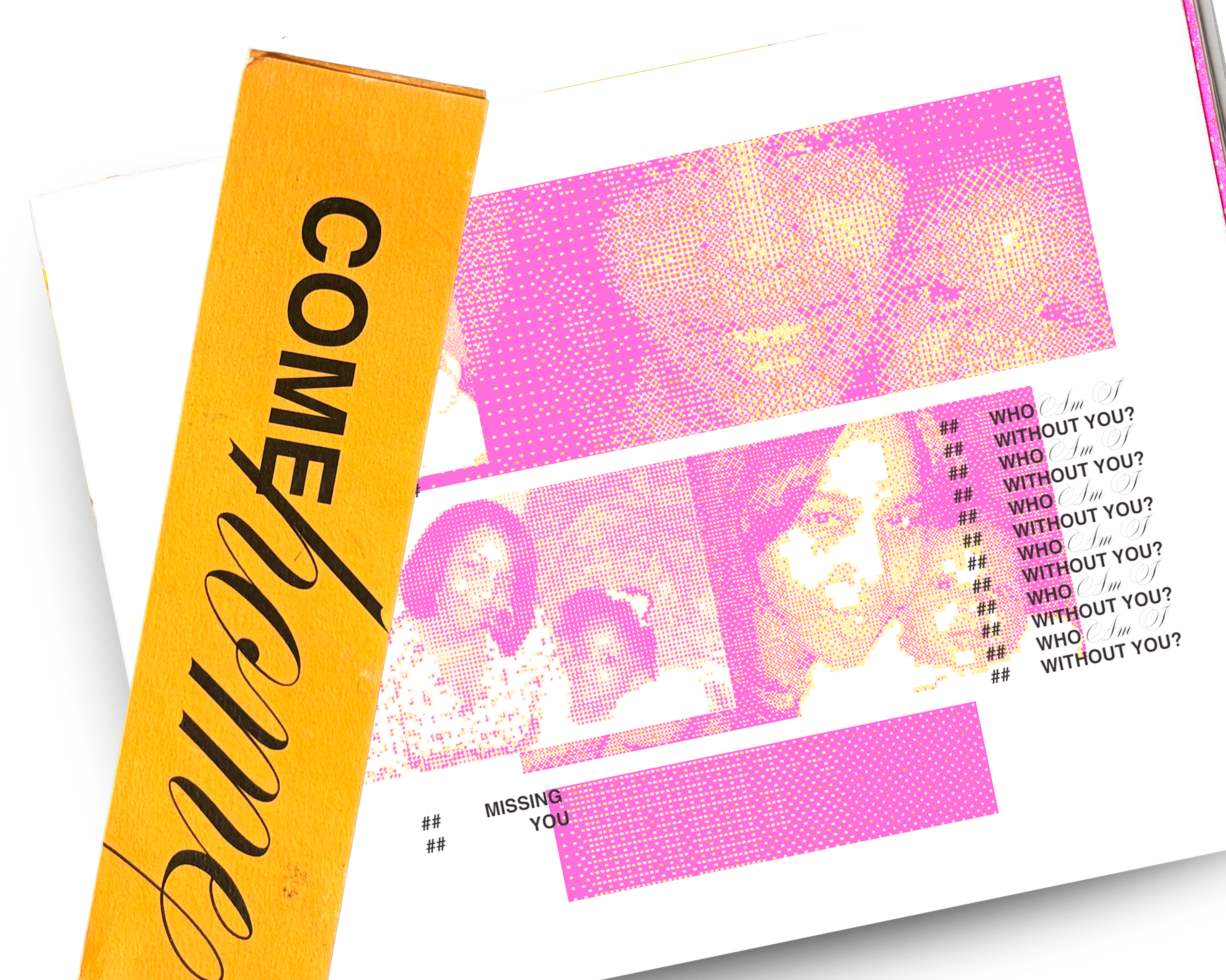 come home book image