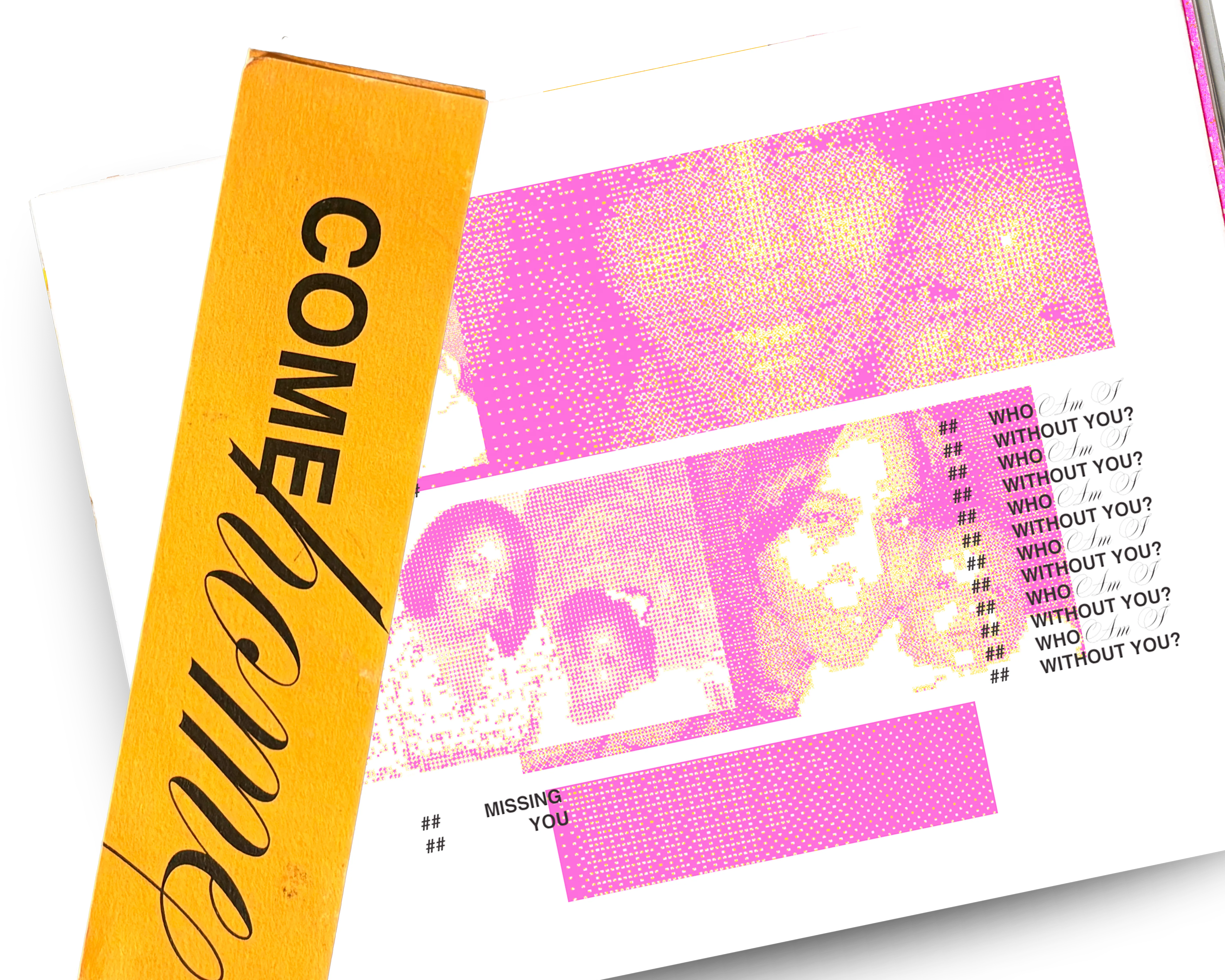 come home book image