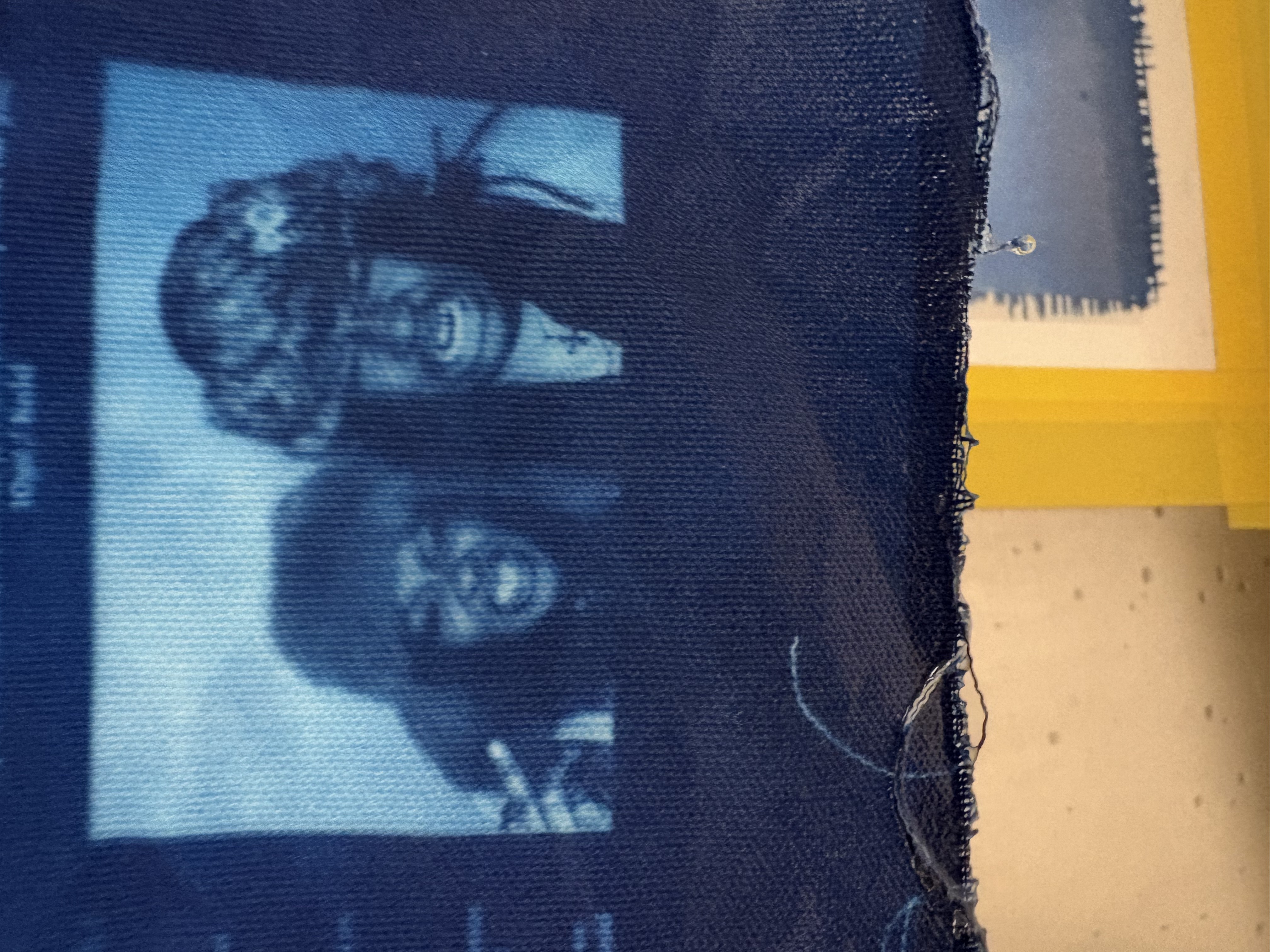 cyanotype print