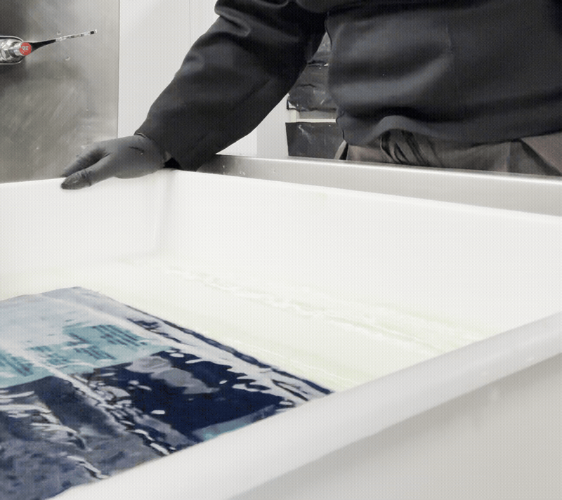 cyanotype portrait
