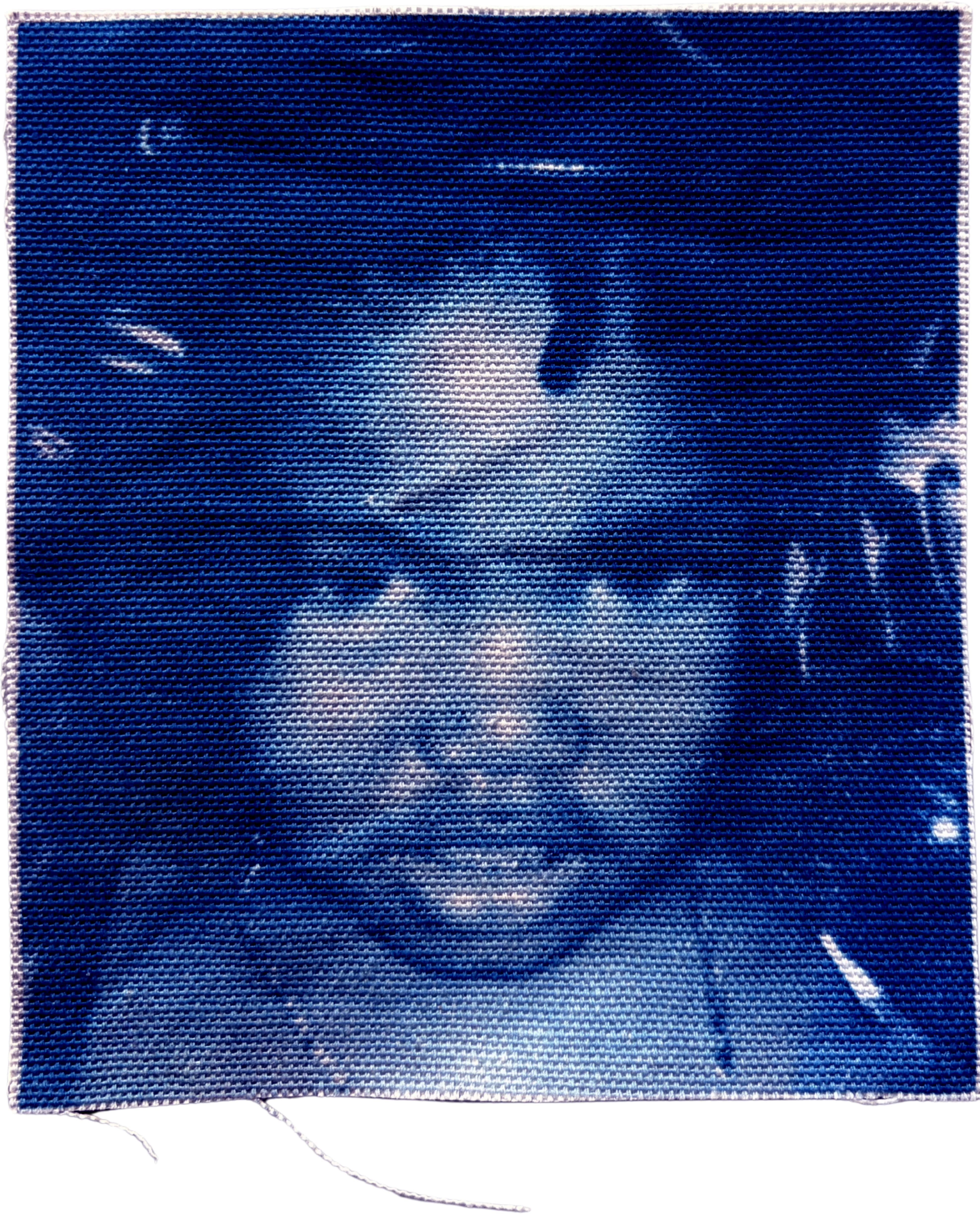 cyanotype portrait