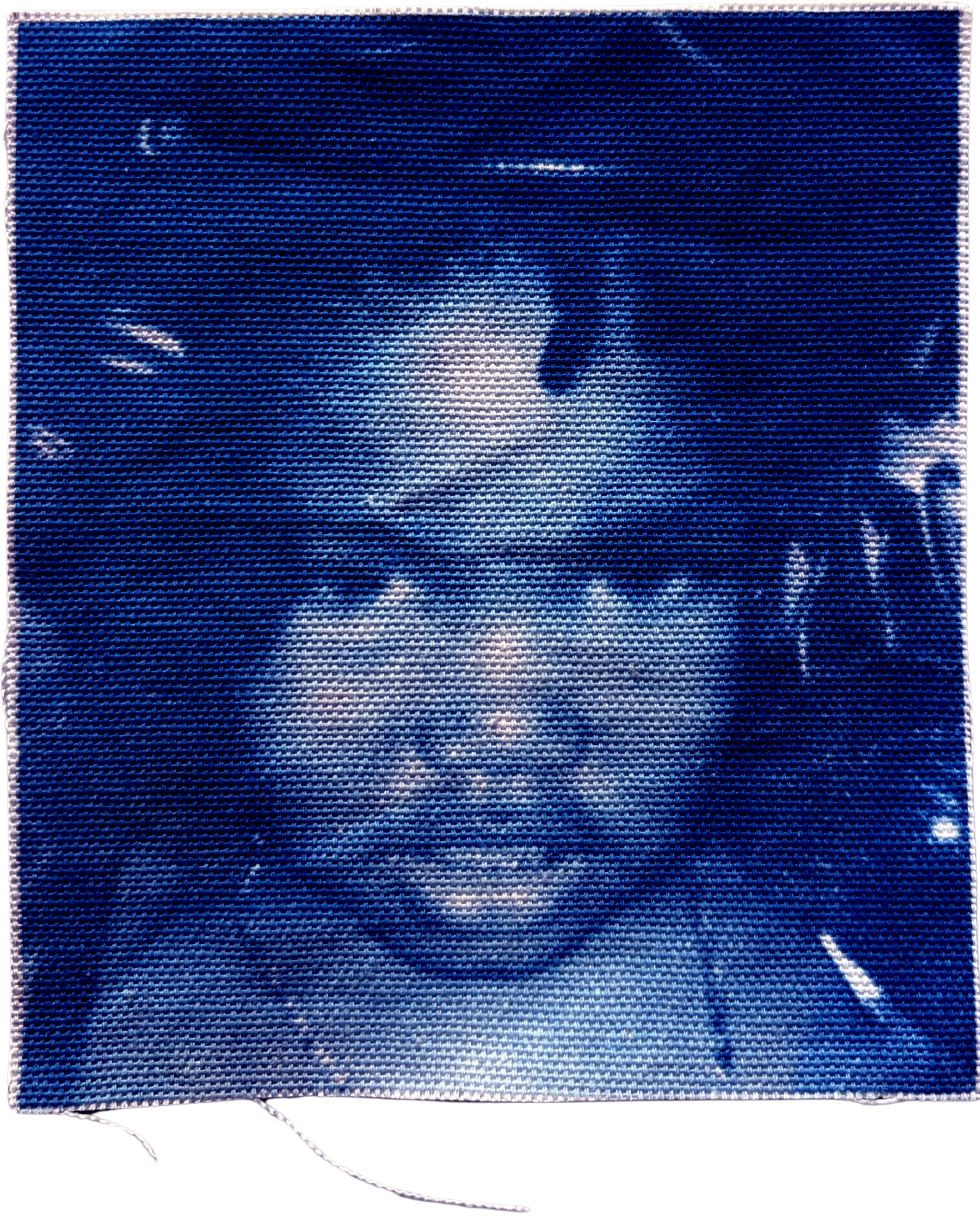 cyanotype portrait